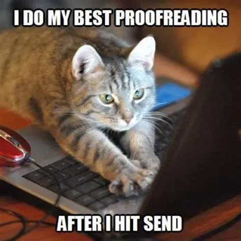 meme of a cat looking at a computer screen