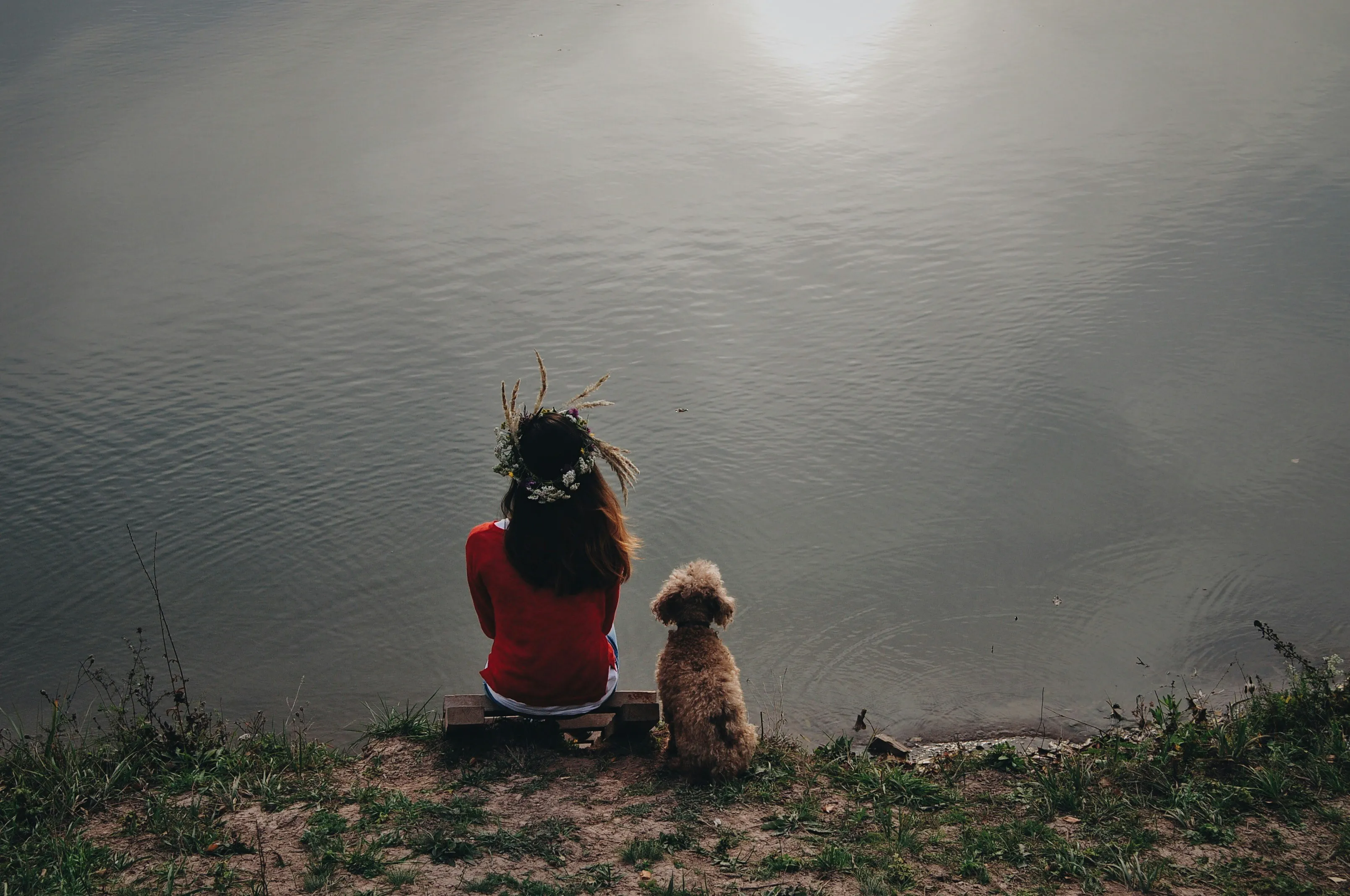 a woman with a dog looking at the sea