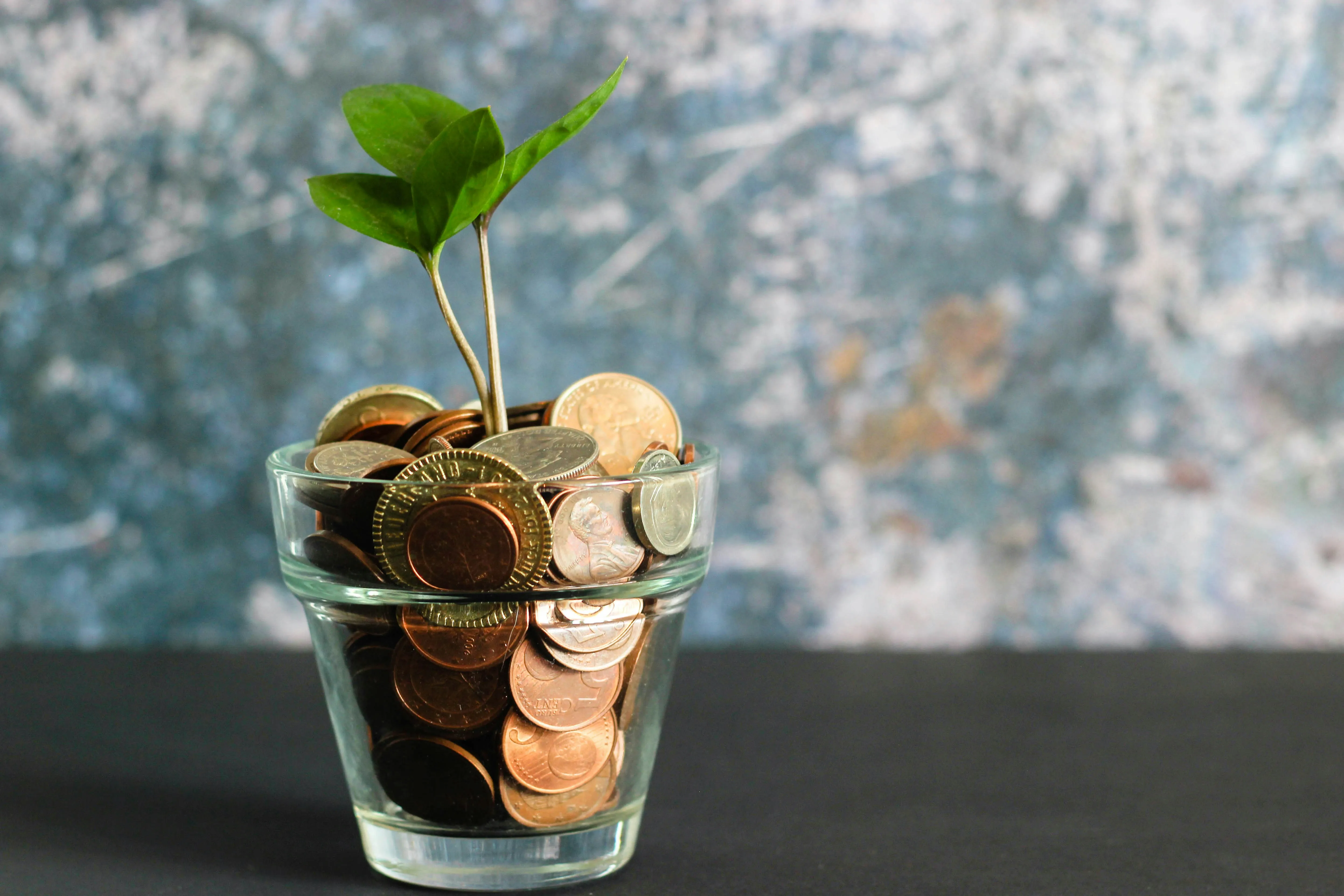 a plant growing from a glass full of money