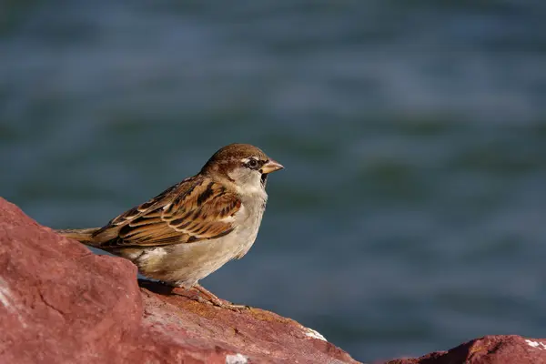 Featured image for When It Feels Like Nothing’s Working