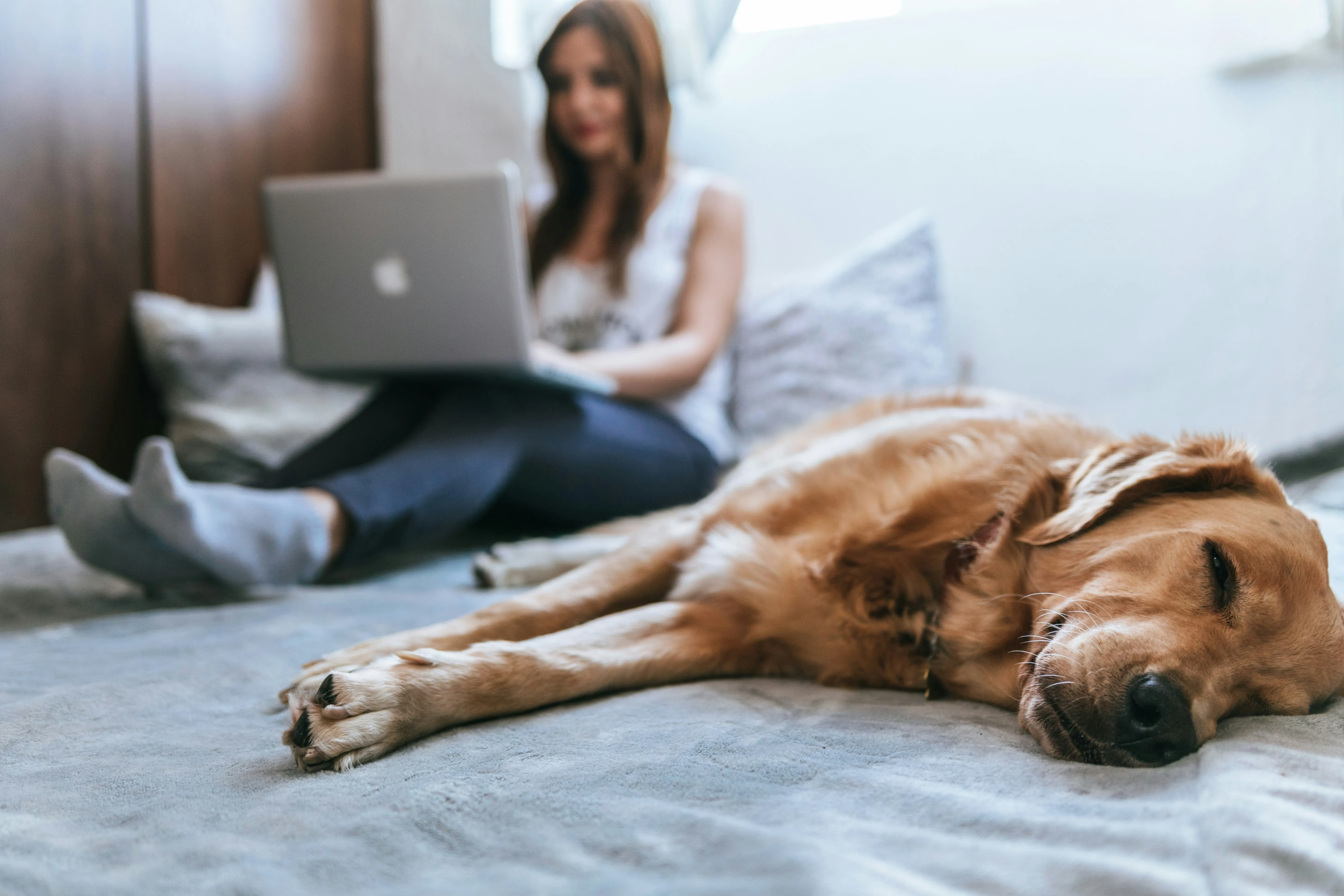a woman working on computer and a dog sleeping next to her